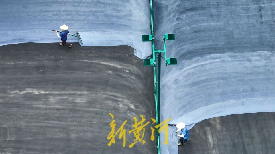 王锋