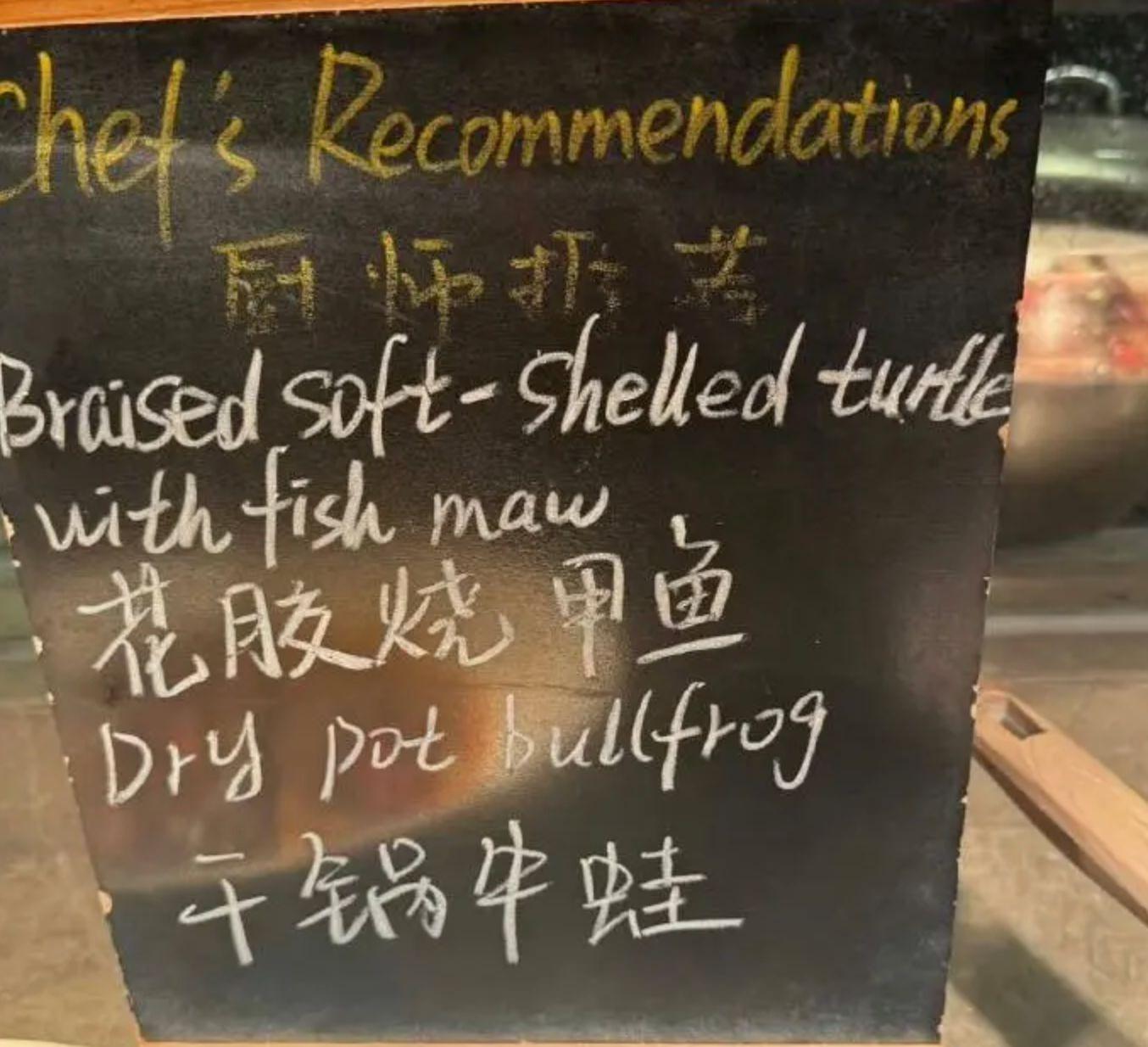 这真是太疯, 并表示, 么要吃海参 这真是太疯, 并表示, 么要吃海参