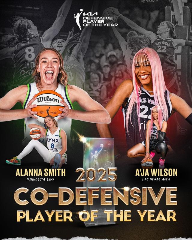 net, 史密斯助力, 明尼苏达山 net, 史密斯助力, 明尼苏达山