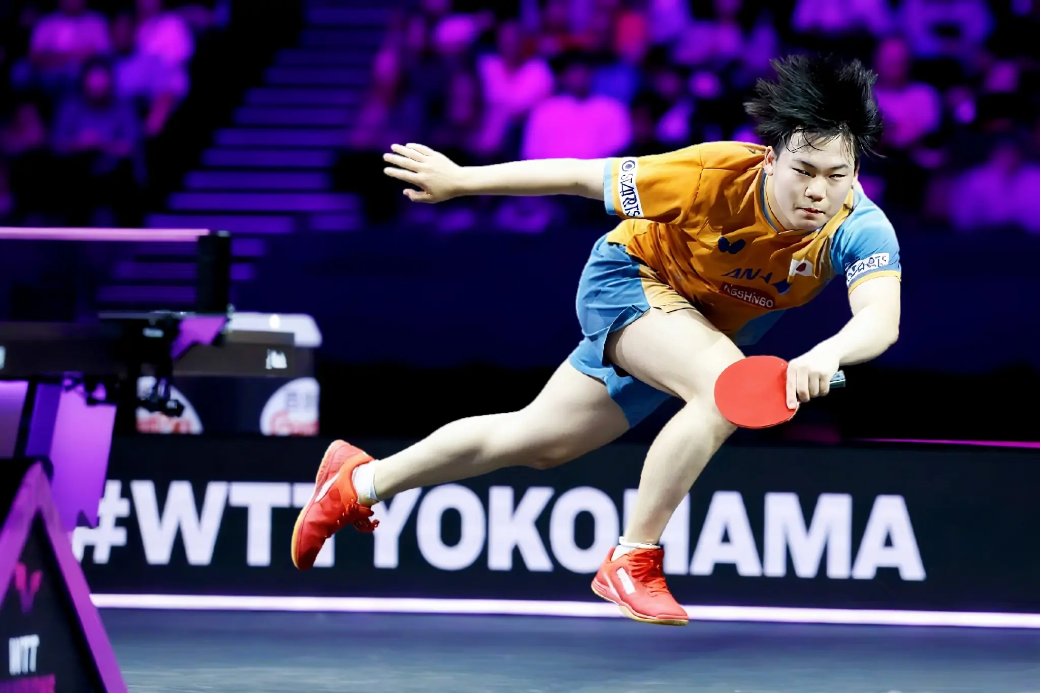 tenan, entit tenan, entit